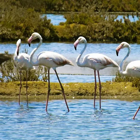 דירה Albufeiraorada Splendor By Be Cherish