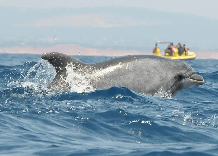 דירה Albufeiraorada Splendor By Be Cherish אלבופיירה