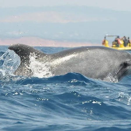 Apartament Albufeiraorada Splendor By Be Cherish Albufeira