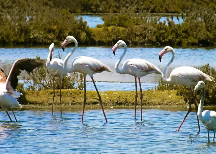 Apartment Albufeiraorada Splendor By Be Cherish